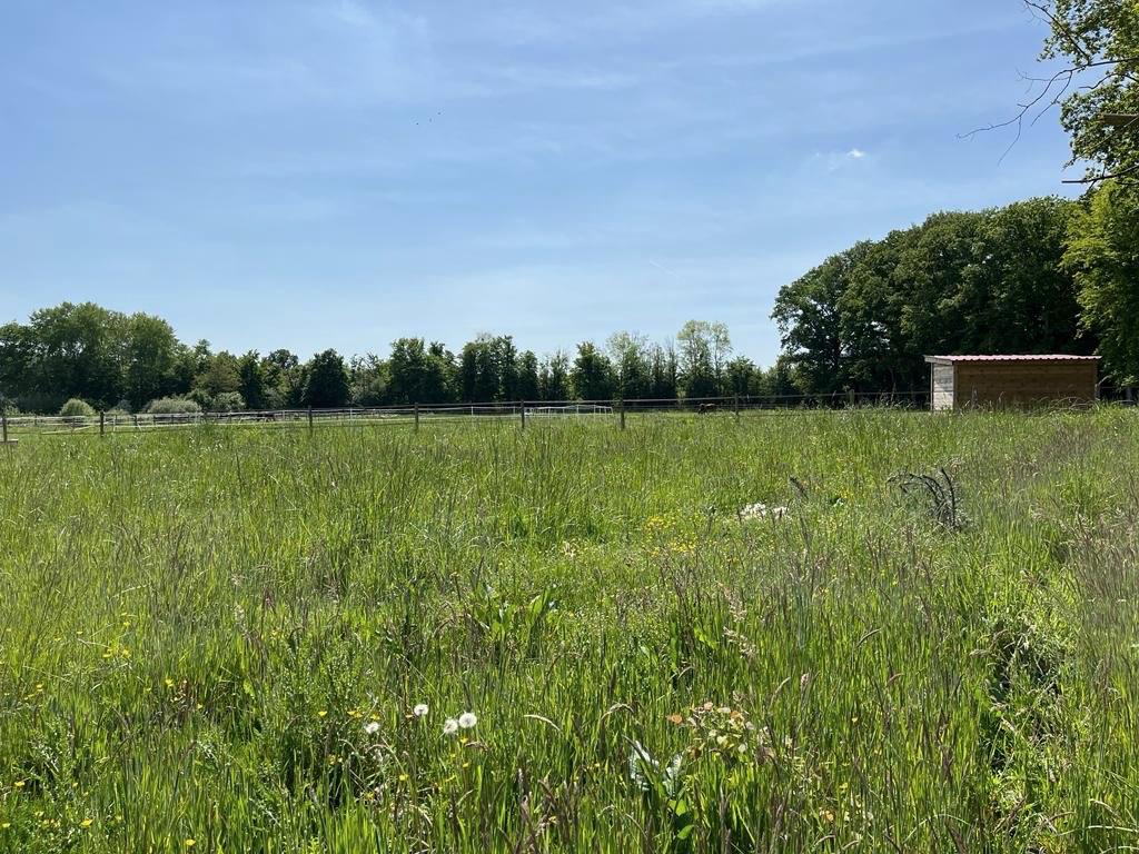Prairie fleurie et abri en bois