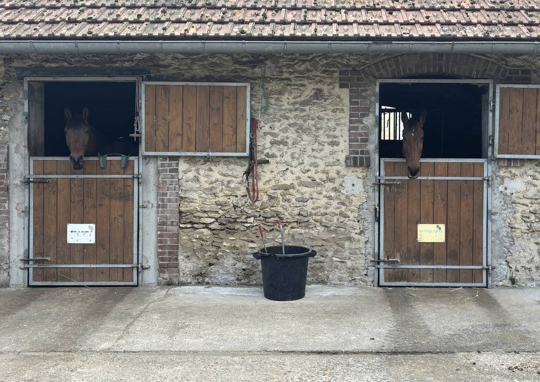 Deux chevaux à la porte de leur box, devant la façade en pierre et en bois