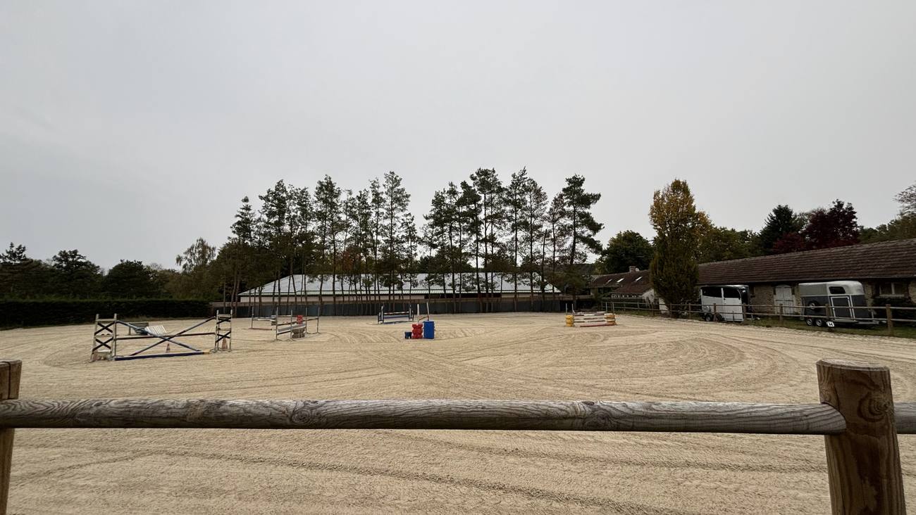 La carrière, lieu de travail des chevaux en pension travail