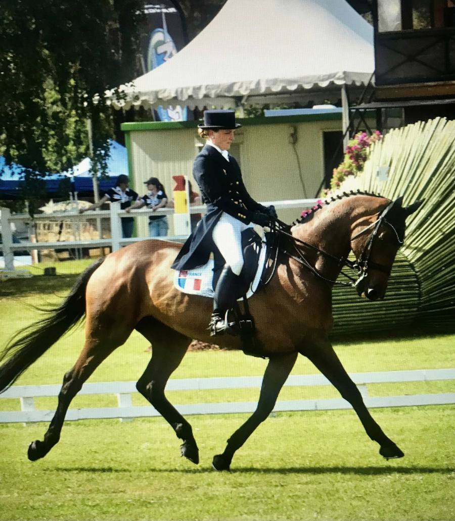 Archive : Caroline Chadelat en reprise de dressage, au trot